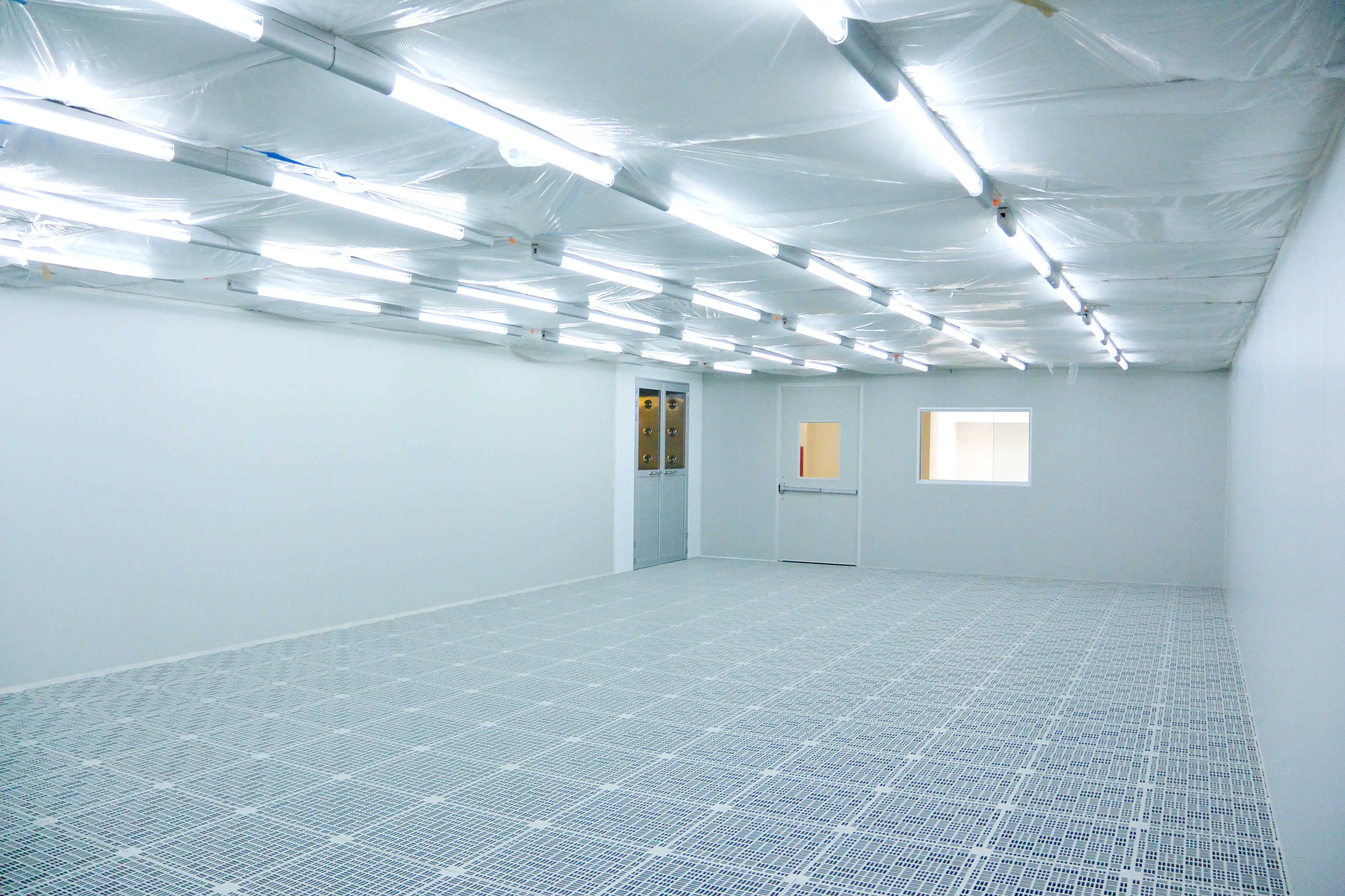 Centro de Nanociencias y Micro Nanotecnologías